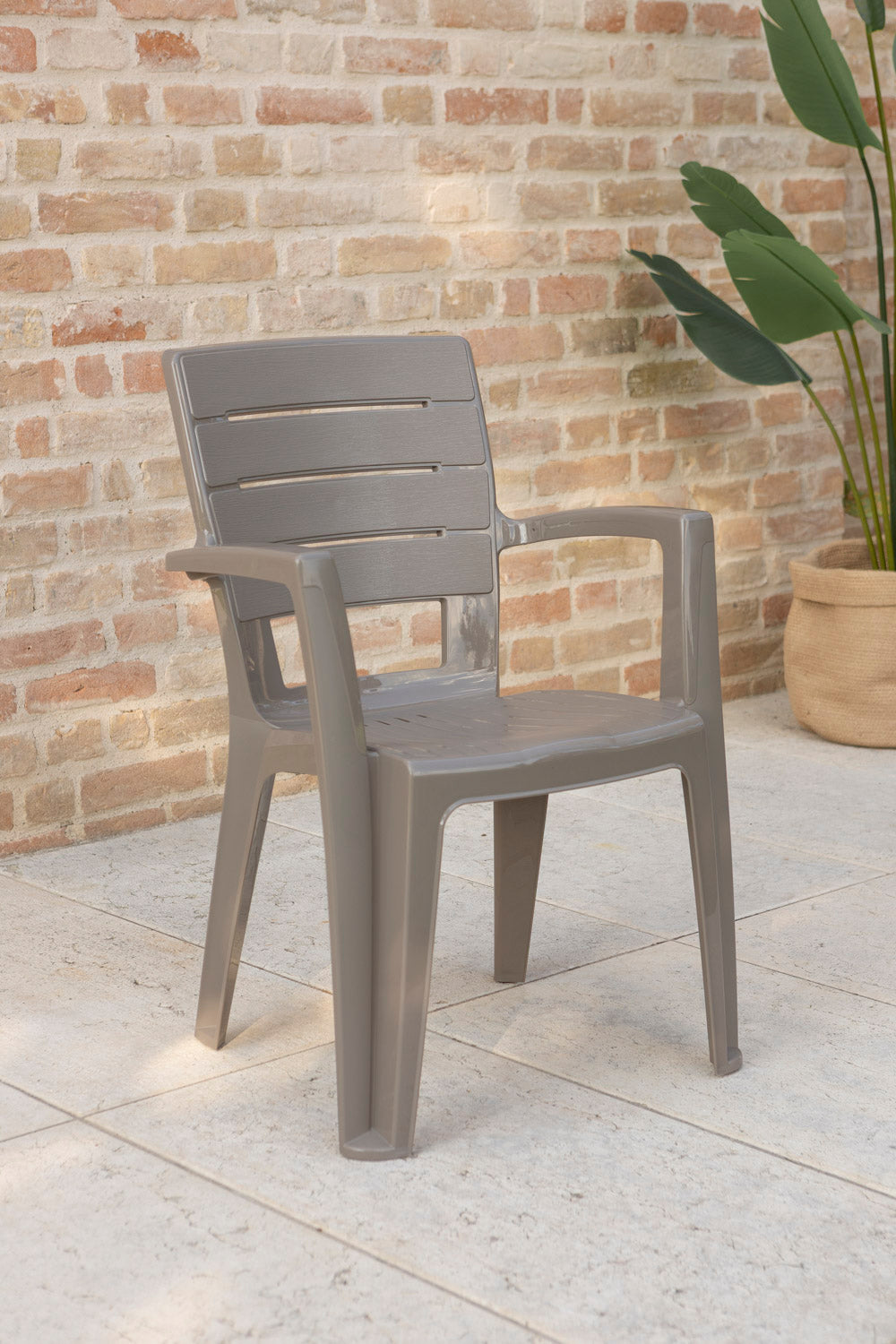 ANITA CHAIRS