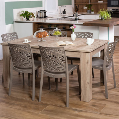 DAFNE CHAIRS
