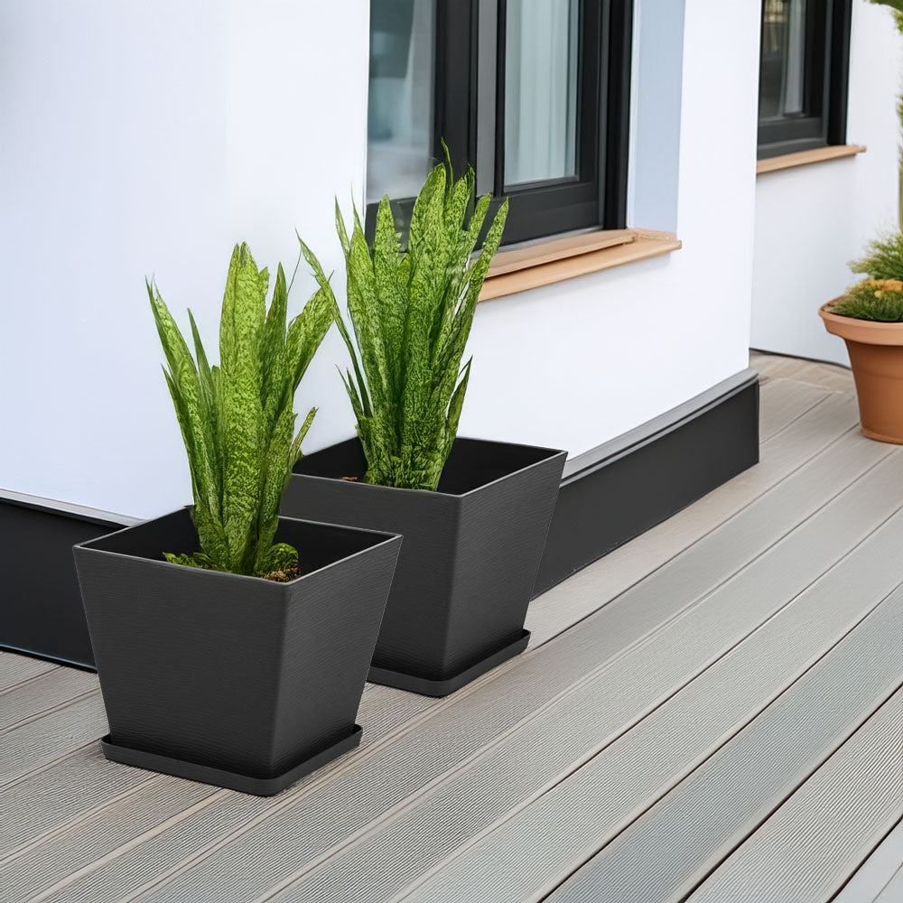 SQUARE POT LILIUM