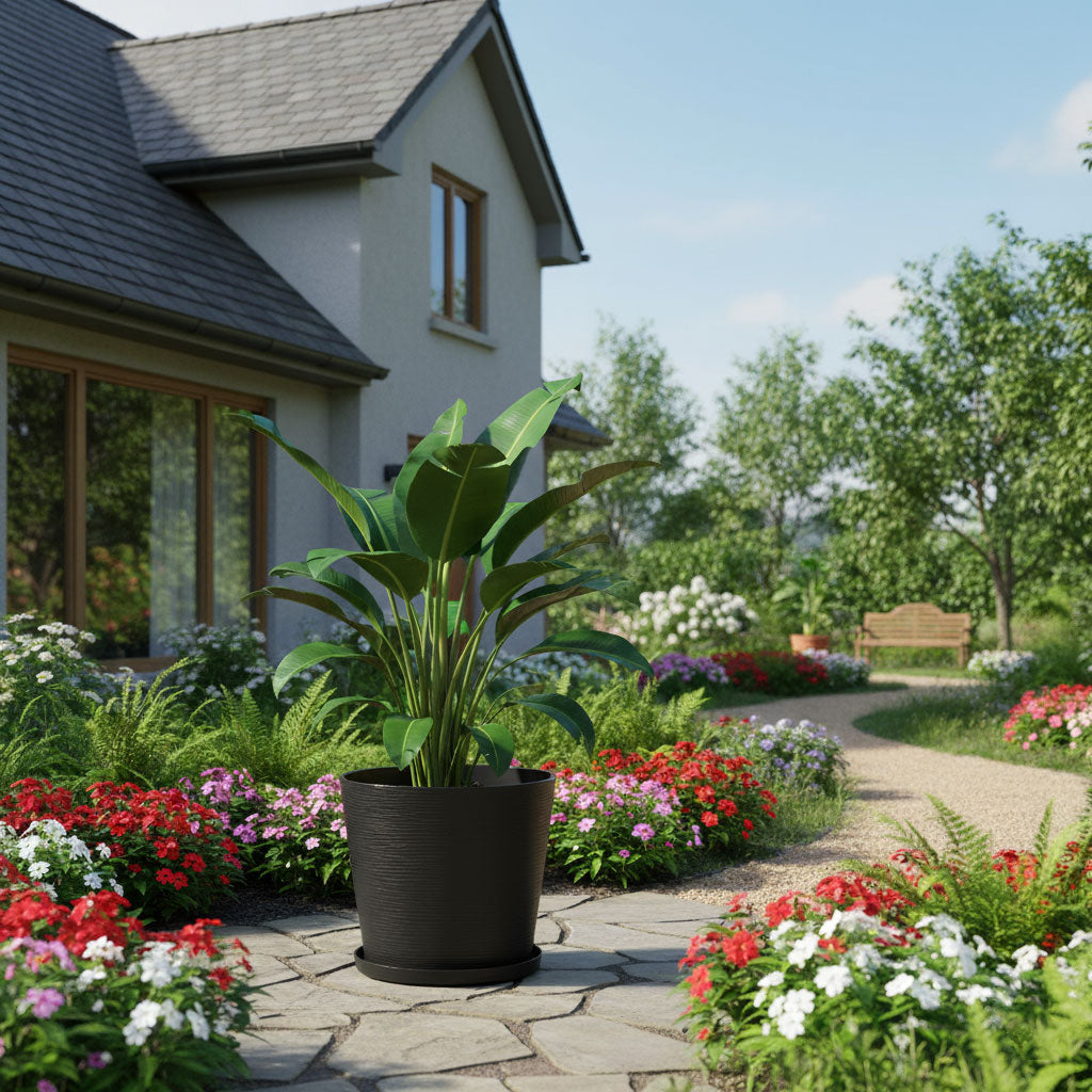 ROUND POT LILIUM
