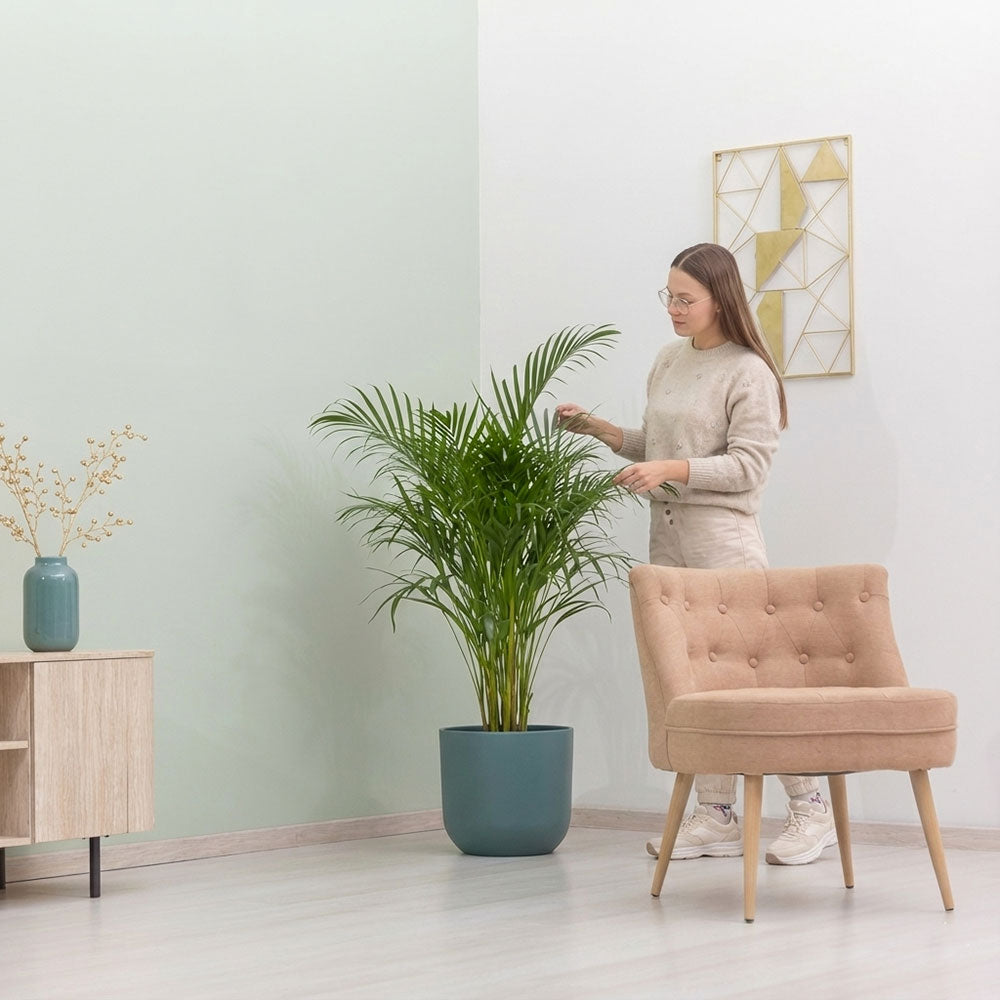 COSTANZA ARMCHAIR