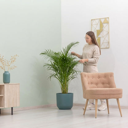 COSTANZA ARMCHAIR
