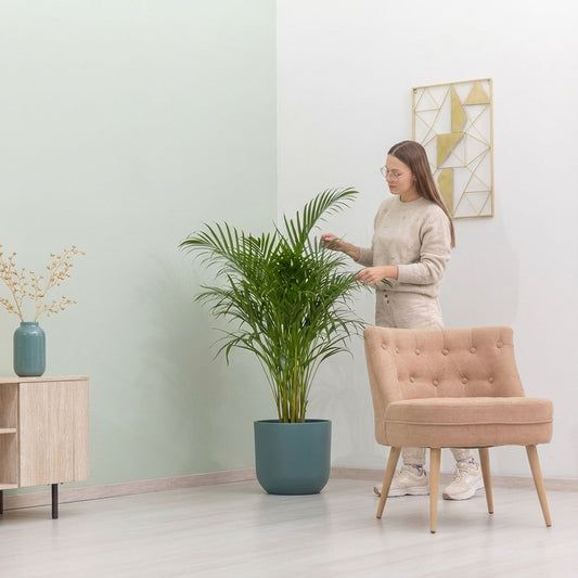 COSTANZA ARMCHAIR